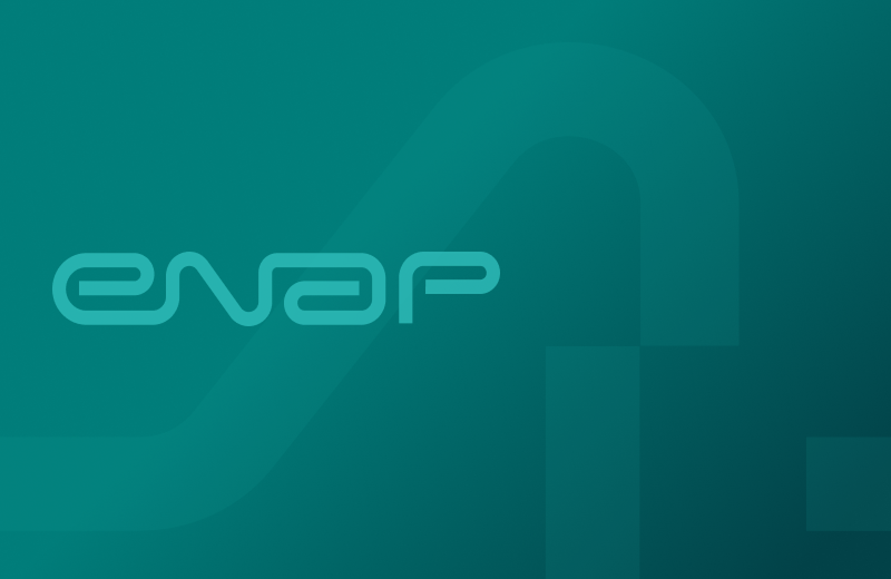 Imagem padrão com logo da Enap e fundo verde